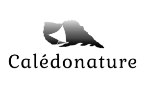 Logo Calédonature noir et blanc
