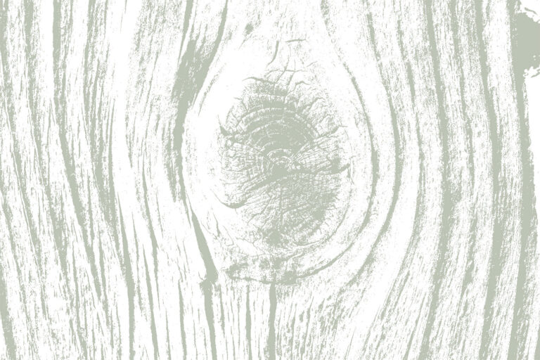 arrière plan d'arbre dabo monochrome