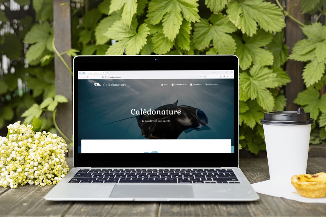 Mockup Calédonature version PC